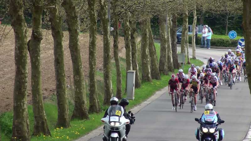 Het peloton bij het begin van de Kasteeldreef in Linden